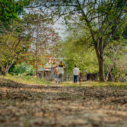 Despensas La Pimienta-310