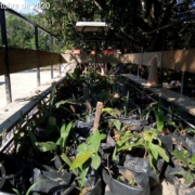 TimePhoto_20201012_150215 (1)