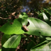 WhatsApp Image 2020-11-01 at 12.33.45 (1)